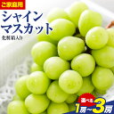 【ふるさと納税】ご家庭用 フルーツ王国 岡山県産 シャインマスカット 化粧箱入り 1房 2房 3房 前後【先行予約】 Lino ＆ Kai Farm《2025年10月上旬-11月中旬頃出荷》マスカット 送料無料 岡山県 浅口市 シャインマスカット 岡山 ぶどう フルーツ 果物