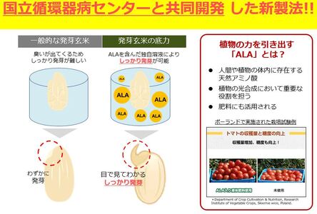 発芽玄米 1kg 1袋 発芽 玄米 ドライ米