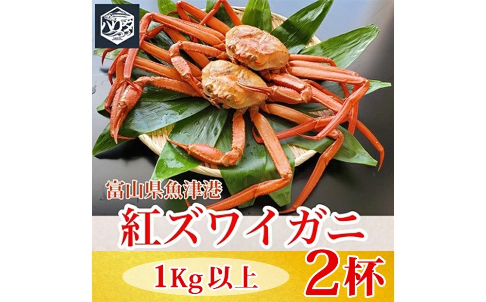 
                  【冷蔵】自社漁船直送！魚卸問屋の紅ズワイガニ 1kg以上×2ハイセット｜かに カニ 蟹 国産ずわい蟹 ずわいガニ 紅ズワイ蟹 紅ずわいがに 紅ずわい蟹 ボイル セットかにしゃぶ 魚貝類 魚介類 海鮮 鮮魚 新鮮 蟹飯 人気 豪華 ご褒美 贅沢 お取り寄せ グルメ カニ味噌 ※2026年9月～発送
                