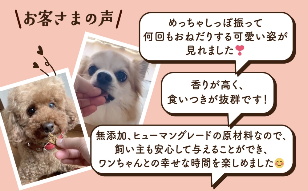 ワンちゃんのおやつ 牛 ８袋 ドッグフード 犬 おやつ 無添加 グルテンフリー 国産