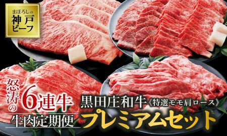 【冷蔵・年6回お届け定期便】 特選 黒田庄和牛特選モモ・肩ロースプレミアムセット（焼肉・すき焼き・しゃぶしゃぶ・ステーキから選べます！）（tokusan-55）