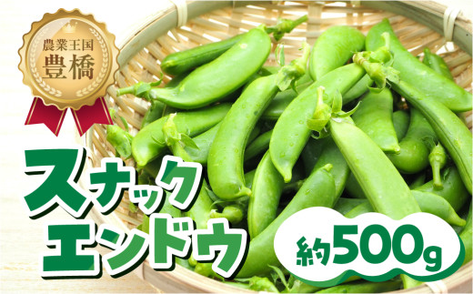 ≪令和9年産 先行予約≫スナックエンドウ 約500g エンドウ スナップエンドウ サラダ 野菜 料理 夕飯 おかず 栄養バランス シャキシャキ 高糖度 糖度 旬 旬の野菜 健康 愛知県 豊橋市 1万円 10000円