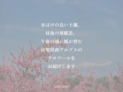 ＜2026年発送先行予約＞【すもも・大石】くっきり酸味！お菓子作りには絶対コレ！ 約40玉 ALPDS010