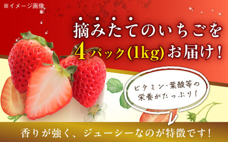 【先行予約】【2025年1月初旬より順次発送】ほっぺが落ちるおいしさ！大粒の紅ほっぺ約270ｇ×４パック（約1000ｇ）愛媛県大洲市/沢井青果有限会社[AGBN026]苺いちご果物苺いちご果物苺いちご