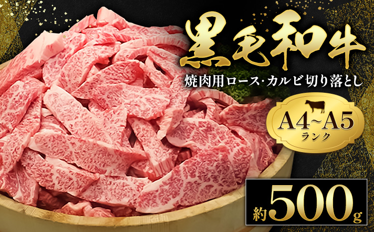 黒毛和牛 焼肉 ロース カルビ 切り落とし 500g A4 ～ A5 ランク 田中畜産《30日以内に出荷予定(土日祝除く)》 ランプ ミスジ イチボ 特上 ミシュラン 国産 肉 牛肉 黒牛 天草 苓北