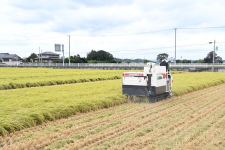 【令和５年産 特別栽培米 みずほちゃん コシヒカリ 5kg 】米 お米 白米 茨城県 常陸太田市 こしひかり 