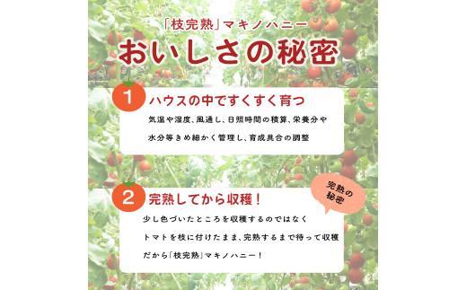 トマト 中玉 900g 以上 マキノハニー 枝完熟 トマト トマトップ 高 リコピン うまみ 甘い 新鮮 野菜 産地直送 やさい ビタミン 静岡県 牧之原市