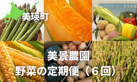 野菜定期便≪令和８年産予約受付！≫美景農園　野菜の定期便（６回）| 野菜定期便  [100-52]