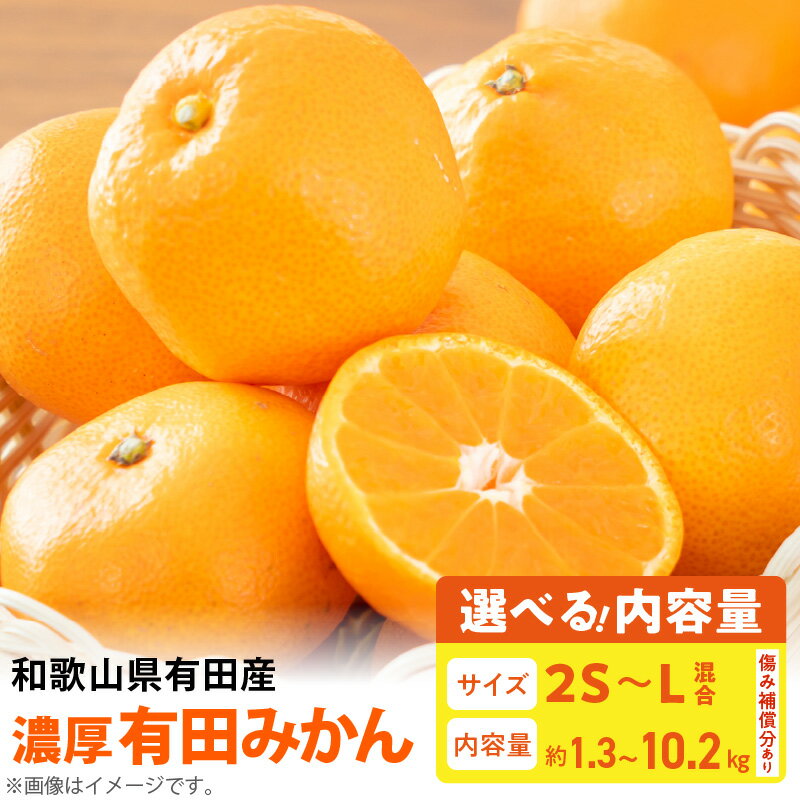 【ふるさと納税】【限定】 【農家直送】 濃厚 有田みかん サイズ2S-L 選べる容量 1.3kg ～ 10.2kg【ミカン 蜜柑 オレンジ 柑橘 温州みかん 和歌山 有田】