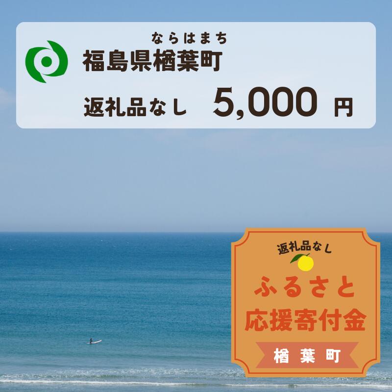 【ふるさと納税】【返礼品なしの寄附】福島県楢葉町 1口：5,000円 ［福島県 福島 楢葉町 寄附 おうえん 応援 しえん 支援 応援寄付金 寄付のみ 返礼品なし 返礼品なしの寄付 5,000円］