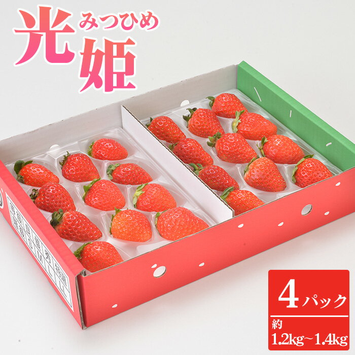 【ふるさと納税】No.270 光姫（イチゴ）約1.2kg～約1.4kg（4パック） ／ 苺 いちご 果物 フルーツ 送料無料 大阪府