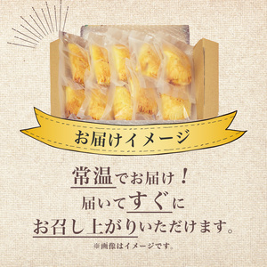 期間限定 手づくり アップルパイ 10個 小分け 個包装 おすそ分け 国産 りんご 林檎 リンゴ アップル パイ お菓子 洋菓子 焼菓子 デザート スイーツ おやつ 常温 配送 冬季限定 限定 プレゼ