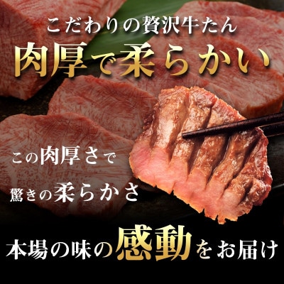 低温管理!肉厚牛たん500g(K6-022)【配送不可地域：離島】