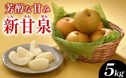 梨 新甘泉（しんかんせん）5kg（JA）※2026年8月中旬～9月上旬頃に順次発送予定【梨 なし ナシ 新甘泉 フルーツ 果物 鳥取県 北栄町 おすすめ 人気】