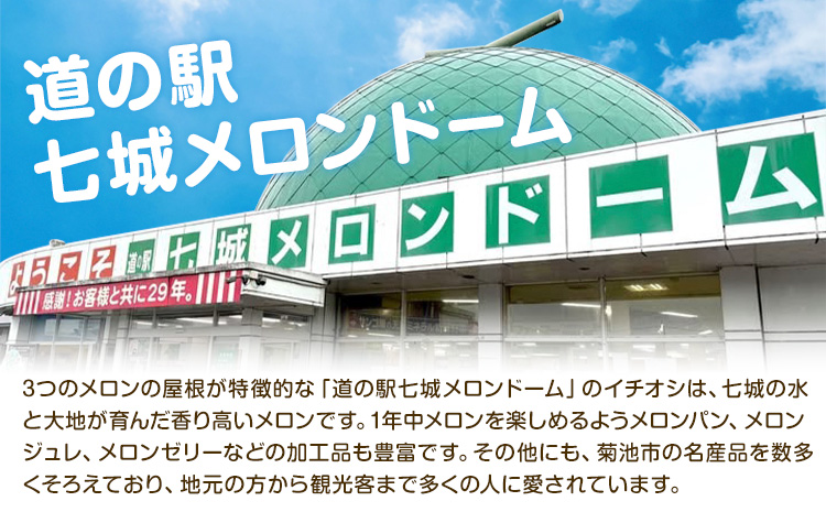 【先行予約】厳選 熊本県産のぶどうセット 約1kg 品種おまかせ ブラックビート ピオーネ 巨峰 【メロンドーム】 有限会社七城町特産品センター《8月上旬-8月末頃出荷》熊本県 菊池市 果物 フルーツ