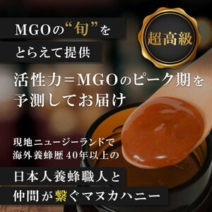 【2ヵ月毎定期便】ストロングマヌカハニー【MGO1050+】500g×2個　全6回【4050132】