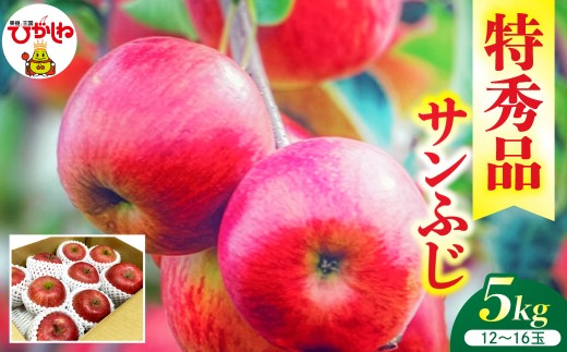 【2026年産】リンゴ サンふじ 5kg（12～16玉） 特秀品 山形県 東根市 ティスコファーム提供 hi089-005-r8 果物 フルーツ くだもの りんご リンゴ 林檎 アップル お取り寄せ グルメ 秋 旬 お取り寄せグルメ 期間限定 産地直産
