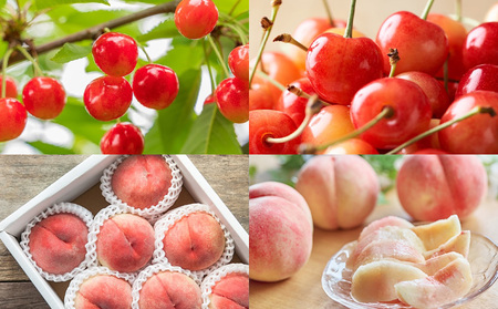 【定期便7回】ノノハナフルーツ 半年まるっと山形のフルーツ三昧 【令和8年産先行予約】FS25-076