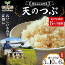 【ふるさと納税】《選べる容量》【米の定期便】福島県鏡石町産 和田農園「天のつぶ」玄米《5kg 10kg》 6か月連続 F6Q-207var