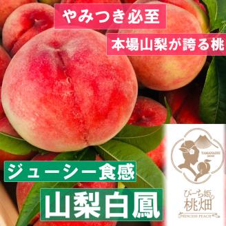 【ジューシー山梨白鳳ブランド】人気品種指定約1kg（３玉）【2024年発送】（PMK）B17-106