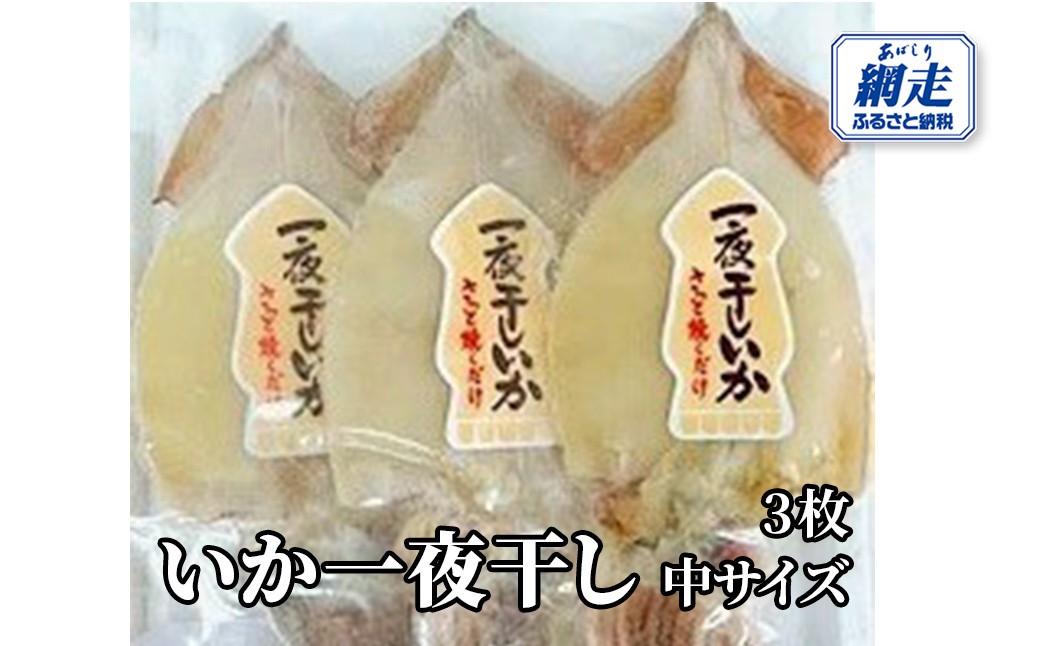 
            いか一夜干し 3枚 中サイズ 【 ふるさと納税 人気 おすすめ ランキング いか イカ 一夜干し イカ一夜 いか一夜 干物 羅臼産 おかず オホーツク 北海道 網走市 送料無料 】ABW112 
          
