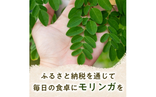 【毎日の食事に取り入れやすい】モリンガ茶(40g×1袋) モリンガパウダー(40g×1袋)　1セット【1742766】