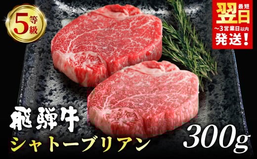 【2月発送】 飛騨牛 最高5等級 シャトーブリアン ステーキ用 300g(150g×2枚) 牛肉 和牛 肉 ステーキ ヒレ フィレ 最高級部位 赤身 肉 牛 牛肉 鉄板焼き お祝い 贈答 ギフト 贈り物 ふるさと納税 東白川村 岐阜 贅沢 霜降り 養老ミート