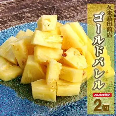 パイナップル【2026年発送】久米島印商店「ゴールドバレル」黄金パイナップル2個（1.3kg以上×2個） パインフルーツ