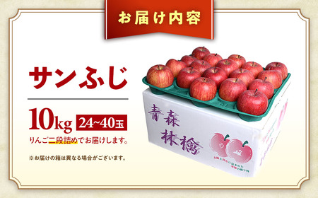 りんご【サンふじ】 約10kg（24～40玉）【2025年産・先行予約】★2025年12月上旬～2026年1月中旬頃まで発送予定★ りんご サンふじ フルーツ 果物  高級 贈答 ギフト プレゼント 