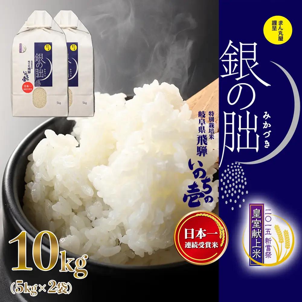 先行予約受付【2026年産米】【2027年1月発送】銀の朏 5kg×2袋 米 ≪テレビで紹介!!幻の米≫【13-33【1】】