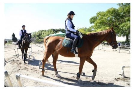 ペア家族限定乗馬体験１回コース【東武乗馬クラブ＆クレイン】【11246-0205】