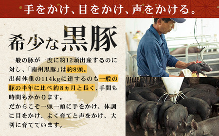 【スピード発送】「バナナマンの早起きせっかくグルメ」で紹介されました♪ 鹿児島県産 黒豚ロース 味噌漬け 詰合せ 約500g ( 100g×5枚 ) NS-504 | 最短 7日以内 1週間以内 肉 