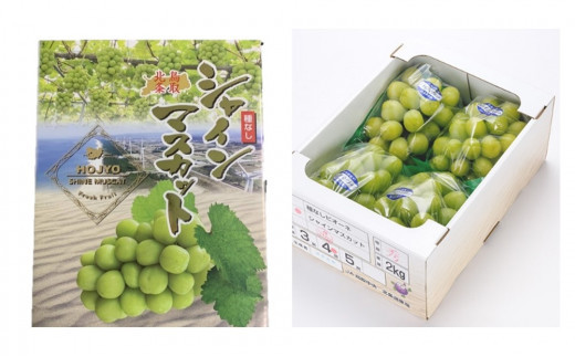 【先行予約【JA】シャインマスカット 赤秀 2kg箱（3～5房入）※着日指定不可 ※離島への配送不可 ※2026年9月初旬頃～9月中旬頃に順次発送予定