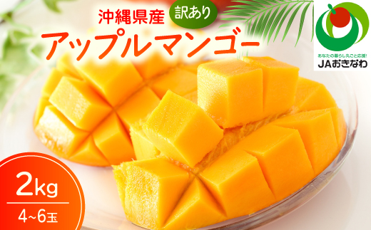 【2027年6月下旬から順次発送・訳あり】JAおきなわ厳選 アップルマンゴー2.0kg(4～6玉)【配送不可地域：離島】
