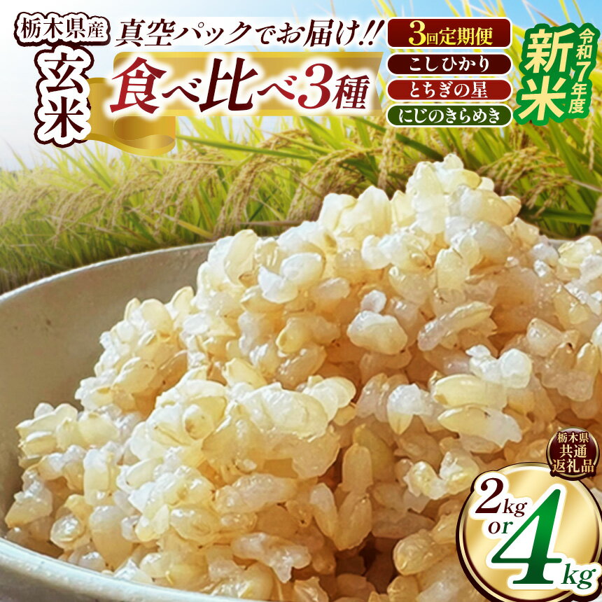 【ふるさと納税】 限定 選べる 米 新米 【定期便3回】栃木県産コシヒカリ・とちぎの星・にじのきらめき食べ比べ定期便セット2kg 2kg×2 先行予約 | 真空パック 白米 精米 栃木米 令和7年度新米 2025年度新米 ブランド米 栃木県共通返礼品 特産品 栃木県 下野市 送料無料