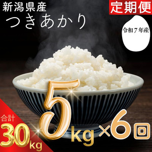 令和7年 新潟県産つきあかり 30kg 30キロ 5kg×6回 定期便 毎月発送 米ヴィレッジさんわ 自社精米 白米 米 冷めても美味しい お弁当やおにぎり向き