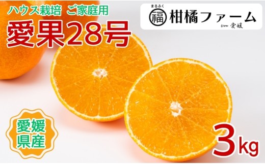 【2026年先行予約】みかん 愛果28号 3kg ご家庭用 紅まどんなと同一品種 農園直送【12月上旬から順次発送予定】 愛媛 数量限定 愛媛県産 人気 柑橘 国産 フルーツ 伊予市｜B443