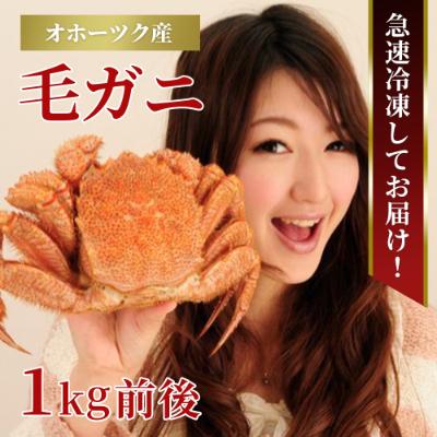 ふるさと納税 旭川市 北海道産 毛ガニ 1尾 1kg前後_01189