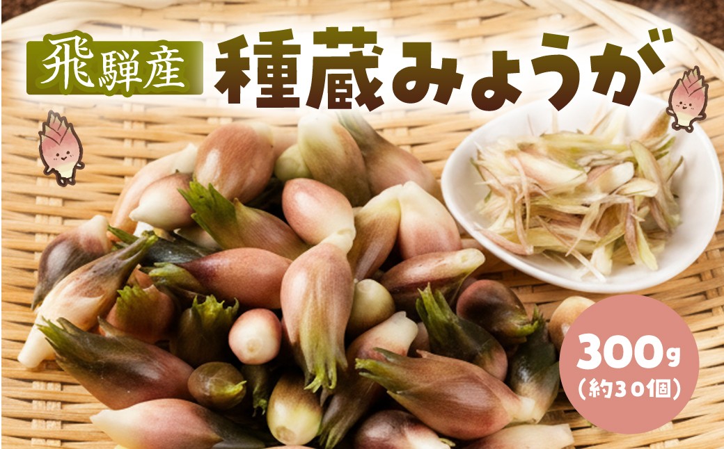 
                  ＜8月から寄附額改定＞《先行予約》訳あり 飛騨産 種蔵 みょうが 300g みょうが 訳あり 5000円 しょうが ねぎ 冷奴 そうめん 夏 山菜 薬味 レシピ 風味 飛騨 宮川 種蔵村 my みょうが 畑 プロジェクト【8月初旬〜9月下旬発送】[Q3216]5000円
                