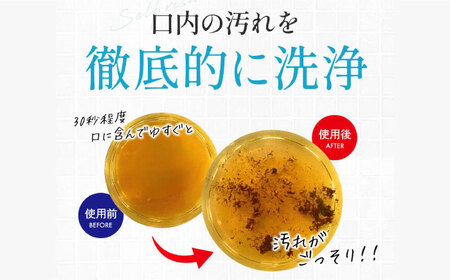 歯磨き粉 【全6回定期便】 マウスウォッシュ 2本(各300ml) 歯磨き粉[AGCQ032]