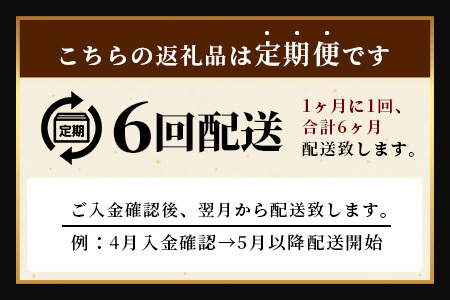 【6回定期】佐賀牛ハンバーグ　【生】150g×5個｜佐賀県 鹿島 生ハンバーグ 定期便 肉汁 ジューシー 焼きたてハンバーグ 牛肉 手ごねハンバーグ 本格ハンバーグ 贅沢な食事 定期便　H-48