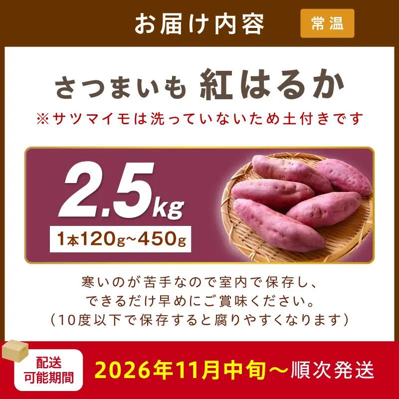 【さつまいも】【先行予約】日本一のさつまいも 2.5kg｜2026年11月中旬から発送
