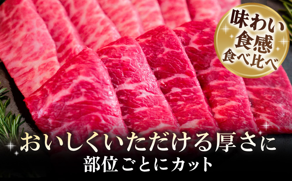 佐賀牛 希少部位焼肉セット150g×3パック計450g【佐賀牛 牧場直送 霜降り 赤身 小分け】(H122142)