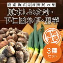 【ふるさと納税】【先行予約】下仁田ネギ【1kg】・里芋【2kg】・原木しいたけ【500g】セット ※数量限定 ANAR006 / 下仁田ネギ ネギ ねぎ 葱 しもにたねぎ しもにたネギ 下仁田ねぎ 下仁田葱 しいたけ シイタケ 椎茸 野菜 きのこ キノコ 茸 里芋 さといも 里いも サトイモ