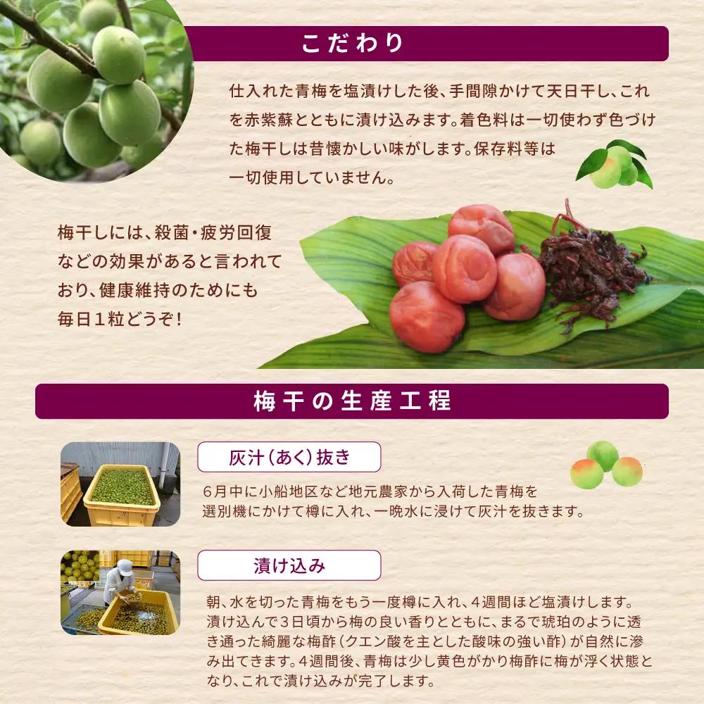 梅干し 小分け 南高梅 無添加 しそ漬け梅干し 110g×2【frsn0019B】