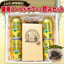 【ふるさと納税】 飲みセット 愛南ゴールド サワー チューハイ 姫かつおの醬油漬け かつお 漬け 酒 アルコール おつまみ 母の日 父の日 道の駅MIC 愛媛県 愛南町