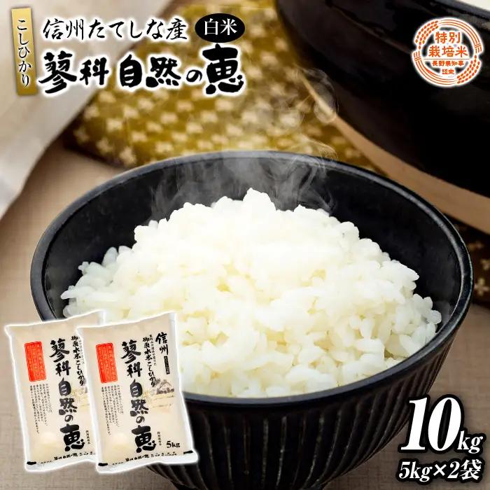 【令和8年産米】 信州たてしな産 蓼科自然の恵 (白米) 10kg