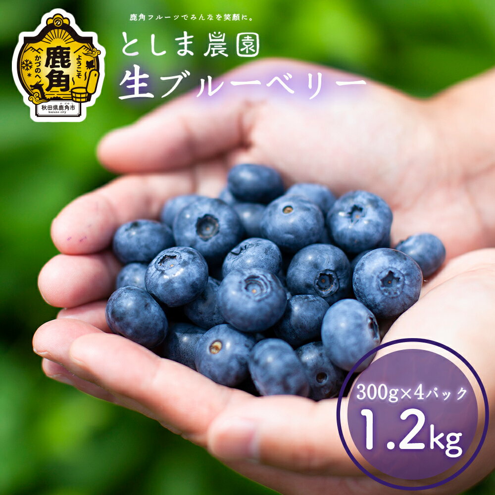 【ふるさと納税】《 先行予約 》 生ブルーベリー 良品 1.2kg ( 300g × 4パック ) 旬 県産ブルーベリー 小分け お中元 お歳暮 お取り寄せ 母の日 父の日 グルメ ギフト 故郷 秋田 あきた 鹿角市 鹿角 送料無料 【としま農園】