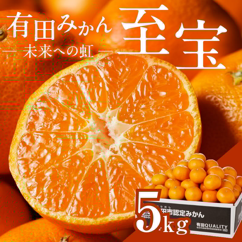 
                  有田市認定みかん「未来への虹」至宝(5kg)【日本初自治体認定フルーツ】(A1-2)
                
