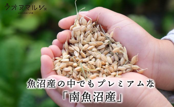 【令和7年産新米予約】おかずのいらない 魚沼産コシヒカリ　白米５ｋｇ　令和７年産【2025年10月上旬より順次発送予定】